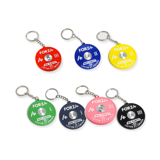 Llavero Disco Bumper — los 7 colores